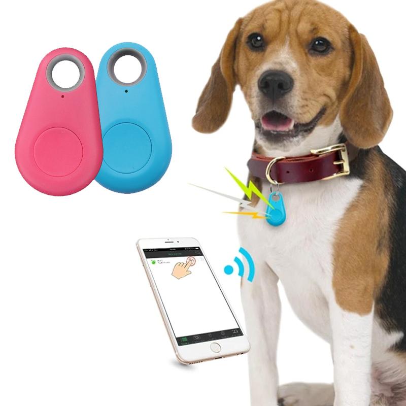 Kæledyr GPS-tracker og aktivitets monitor hunde og katte