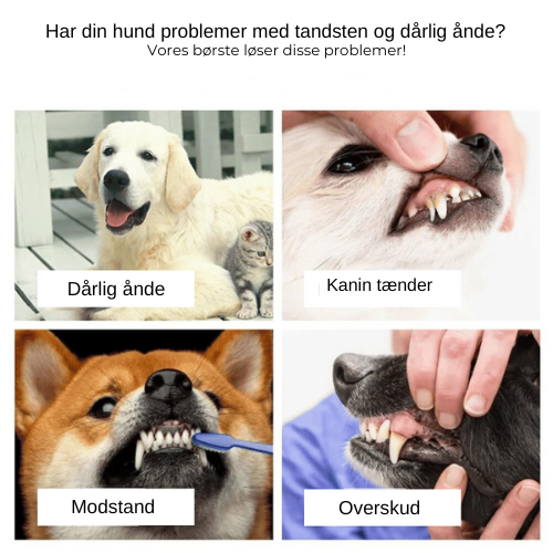 TriDentaBrush - Tandbørste med tre hoveder