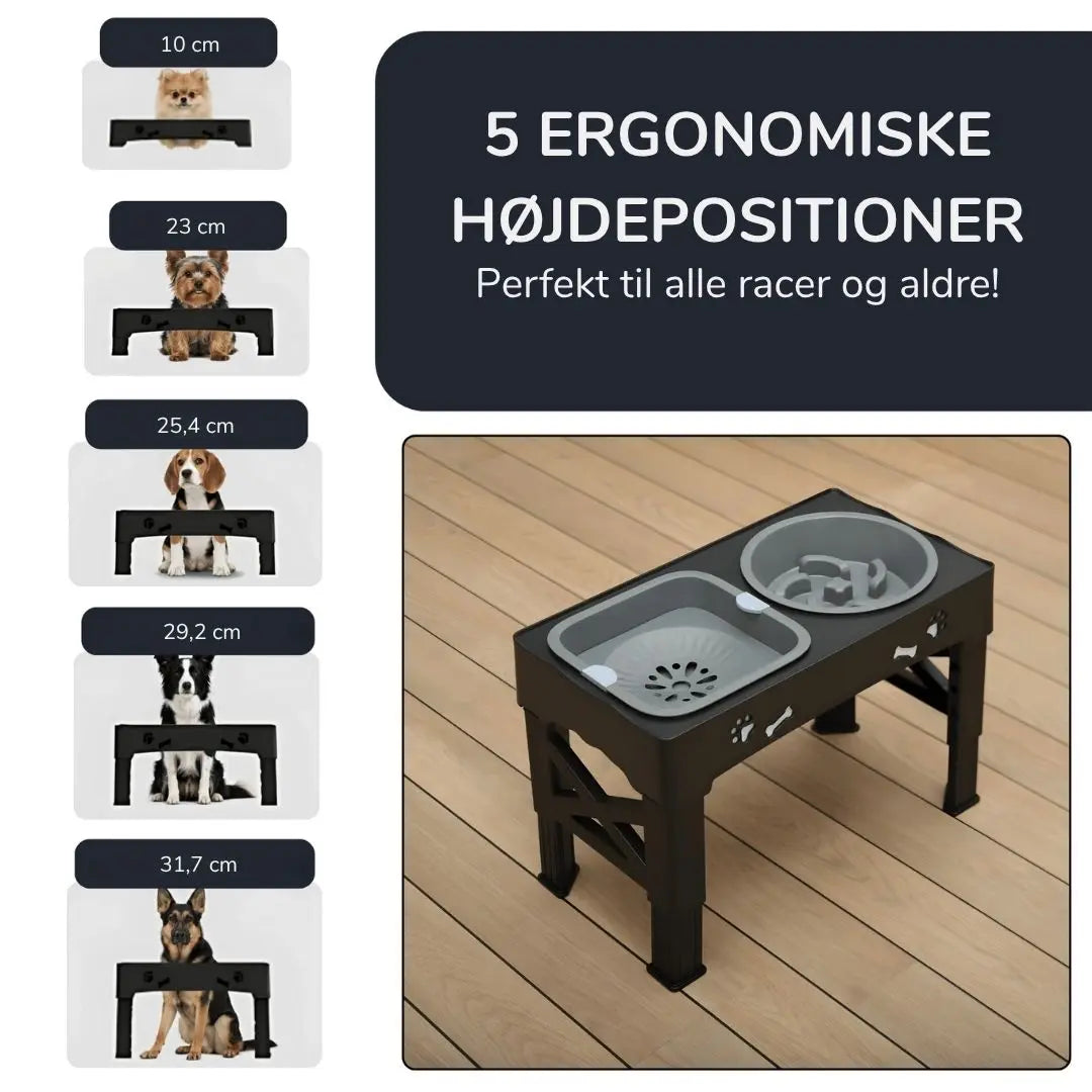 Roligmåltid Hundestation