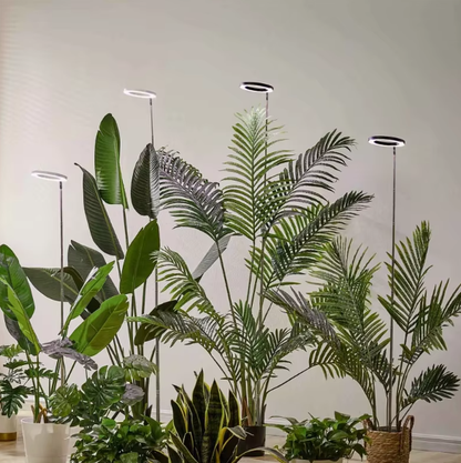 Fullspektrum LED växtlampa med ringdesign och teleskopstång för inomhusväxter