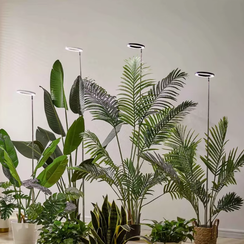 Fullspektrum LED växtlampa med ringdesign och teleskopstång för inomhusväxter