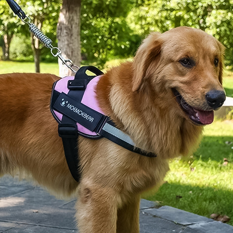 Reflekterende alt-i-en hivefri hundesele