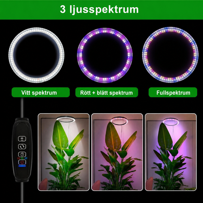 Växtlampa för Inomhusväxter – Fullspektrum LED Ringlampa med Timer, 9 Ljusnivåer och Teleskopstång