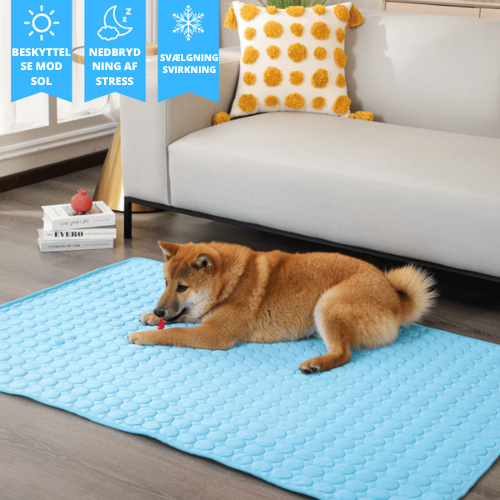 Hundeseng 'Frosti' - originalen.